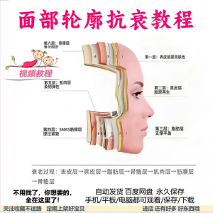 美商课程面部轮廓抗衰美肤减龄变美视频教程形象管理内在美好气色-资源虚拟仓库