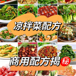 摆地摊街边特色自选拌凉菜小菜制作小吃技术配方教程培训视频教学-资源虚拟仓库