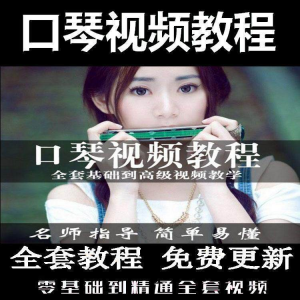 口琴自学教程视频零基础初学者入门到专业十孔24孔教学-资源虚拟仓库