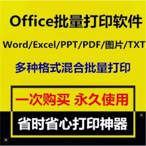 Office批量打印软件工具 Word/Excel/PPT/图片/PDF批量打印软件-资源虚拟仓库