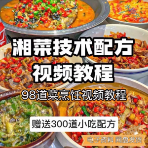 【0.01秒发】98道湘菜技术配方视频教程商用湖南菜炒菜特色小吃-资源虚拟仓库