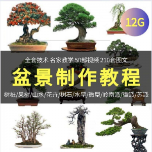 盆景制作技术视频教程工艺教学果树桩山水微型造型全套-资源虚拟仓库