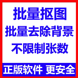 批量抠图工具 全自动去除图片背景软件 本地运行 不限制张数-资源虚拟仓库