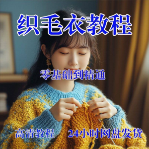 手工织毛衣视频零基础传统棒针钩针毛线编织婴儿童全套-资源虚拟仓库