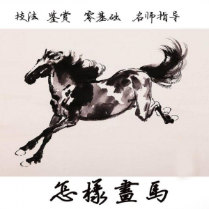 怎么画马视频教程教学自学画马技巧全套零基础入门到提高名水墨画-资源虚拟仓库