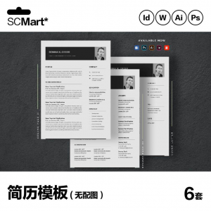 6套高级英文简历Word简历 ai psd设计师简历模板毕业生简历CV29-资源虚拟仓库