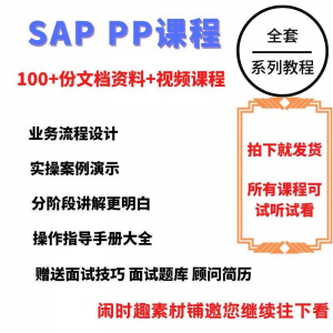 SAP教程视频教程PP生产计划模块视频教程-资源虚拟仓库