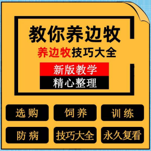 边牧训练方法教程边境牧羊犬驯养技术饲养喂养选购训犬技巧大全套-资源虚拟仓库