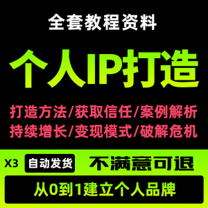 个人IP打造教程如何快速打造个人IP社交品牌定位训练营资料大全新-资源虚拟仓库
