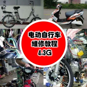 学电动车维修技术电动自行车维修技术电瓶修复技巧视频教程教学-资源虚拟仓库