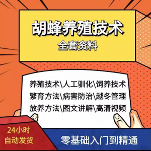 胡蜂养殖技术蜜蜂视频资料黄蜂黑盾怎样养胡蜂人工饲养教程大全-资源虚拟仓库