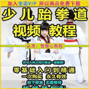 跆拳道自学教学视频跆拳道训练视频跆拳道运动教程少儿培训素材-资源虚拟仓库