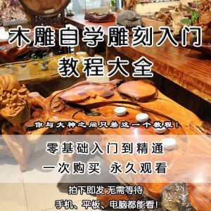木雕自学雕刻入门教程木匠制作diy手工技术玉石学习视频教学课程-资源虚拟仓库