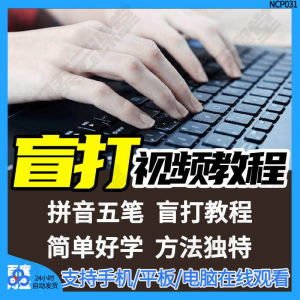 盲打不看键盘打字视频教学网课指法纠正零基础普通键盘私教版资料-资源虚拟仓库