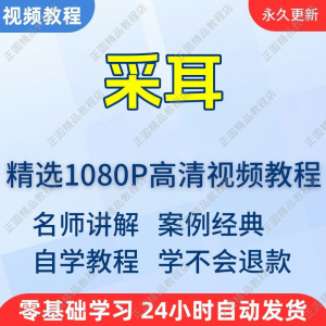 采耳手法视频学习教程新手自学零基础入门精通教学培训课程全集-资源虚拟仓库