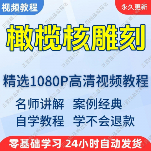 橄榄核雕刻视频学习教程新手自学零基础入门精通教学课程全集-资源虚拟仓库