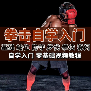 全套拳击指导视频教程自学零基础小白入门自卫搏击格斗防护资料-资源虚拟仓库