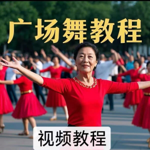 中老年广场舞视频下载高清视频教学打包MP4 MP3背面动作分解教程-资源虚拟仓库