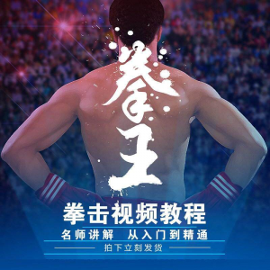 拳击教学视频 自学教程 训练零基础运动入门健身搏击格斗武术课程-资源虚拟仓库
