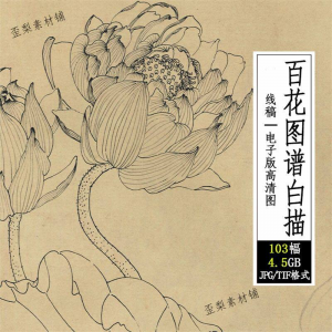 百花图谱白描线稿图集 国画花卉植103幅tif格式3.6G高清图片素材-资源虚拟仓库